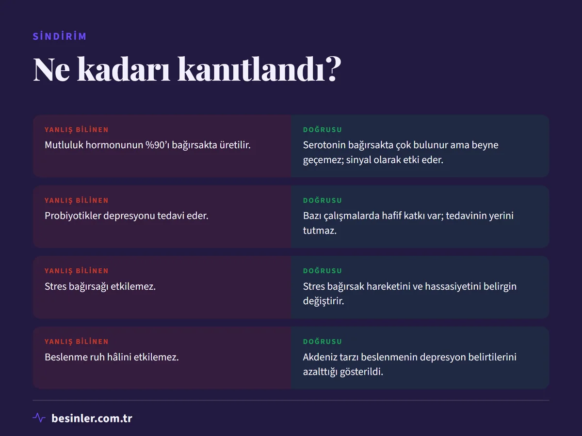 Serotonin, probiyotik, stres ve beslenmenin ruh hâline etkisi hakkındaki yanlış bilinenler ve doğruları