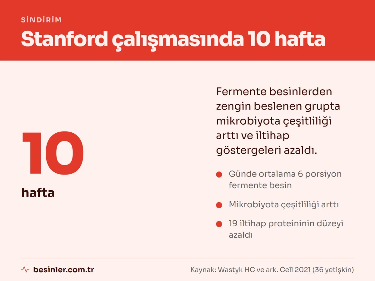 Stanford çalışmasında 10 hafta boyunca fermente besin tüketen grupta mikrobiyota çeşitliliğinin artması