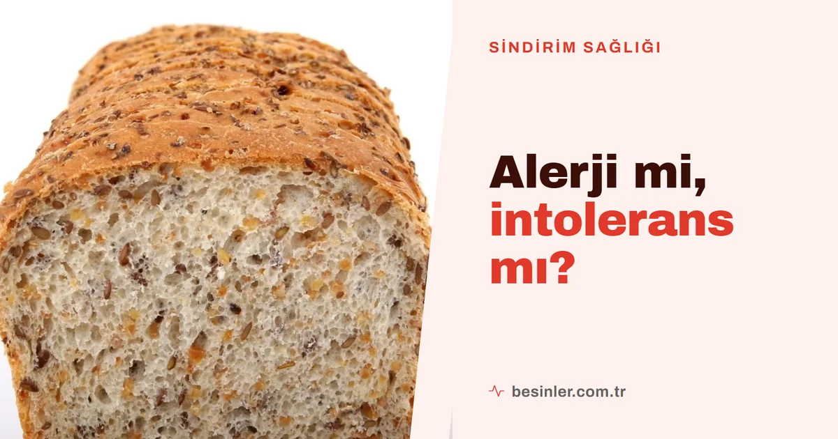 Gıda İntoleransı Nedir? Alerjiden Farkı, Belirtileri ve Doğru Tanı