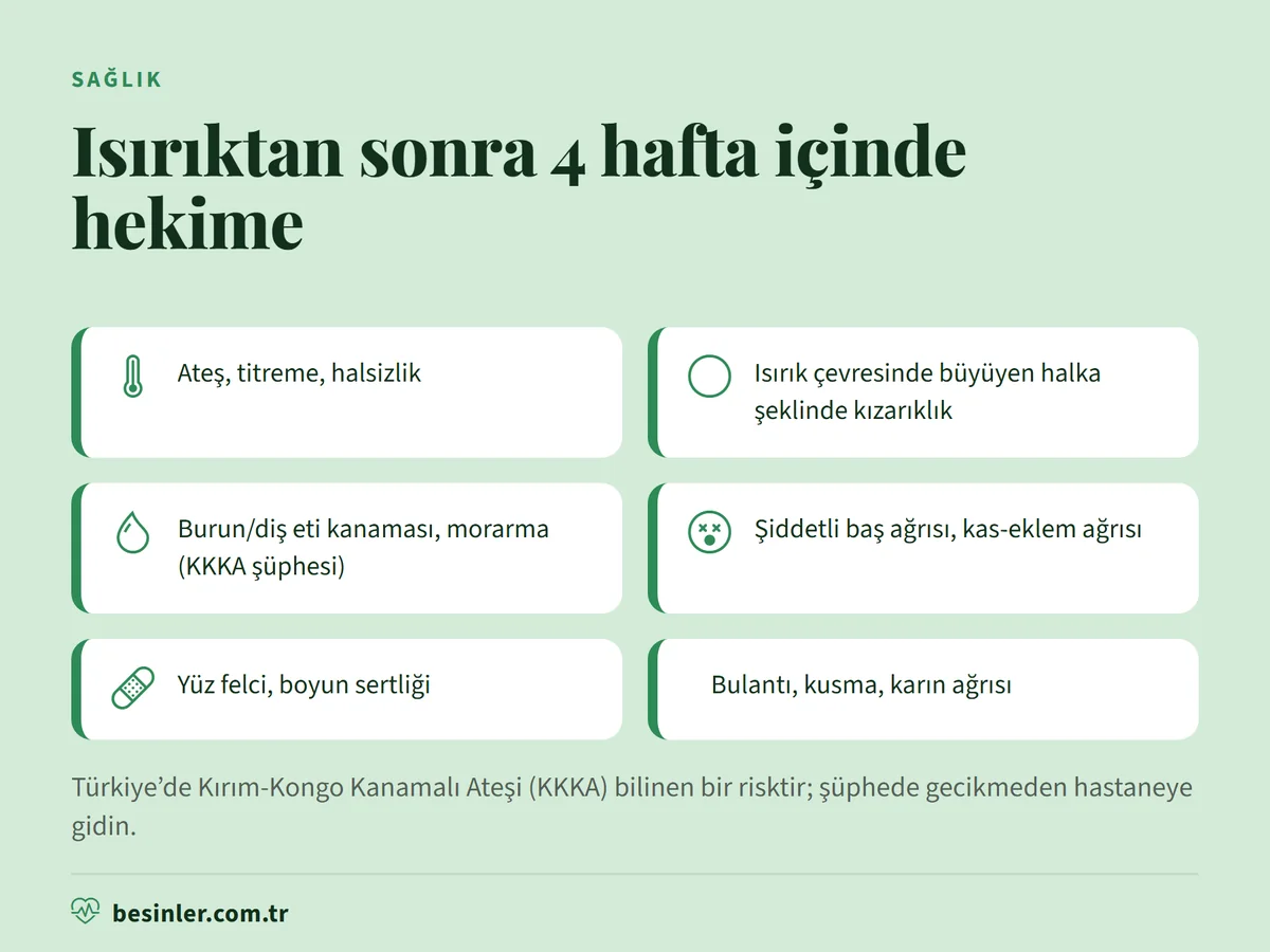 Ateş, halka şeklinde kızarıklık, kanama, şiddetli baş ağrısı ve yüz felci gibi kene ısırması sonrası acil belirtiler