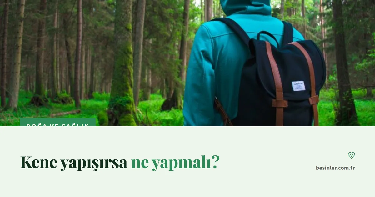 Kene Isırması: Nasıl Çıkarılır, Hangi Belirtilerde Hekime Gidilir?