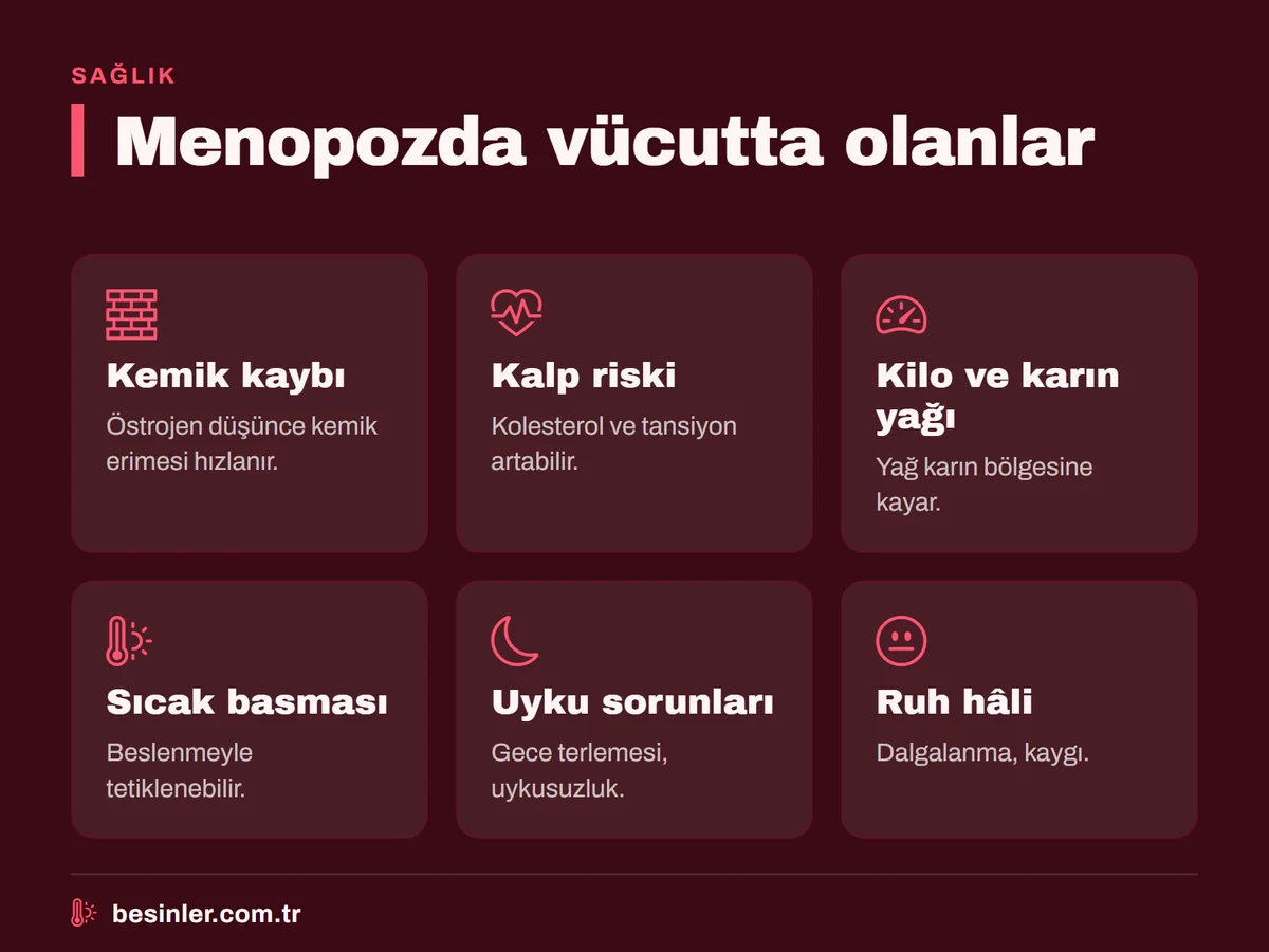 Menopozda kemik kaybı, kalp riski, karın yağlanması, sıcak basması, uyku sorunları ve ruh hâli değişiklikleri